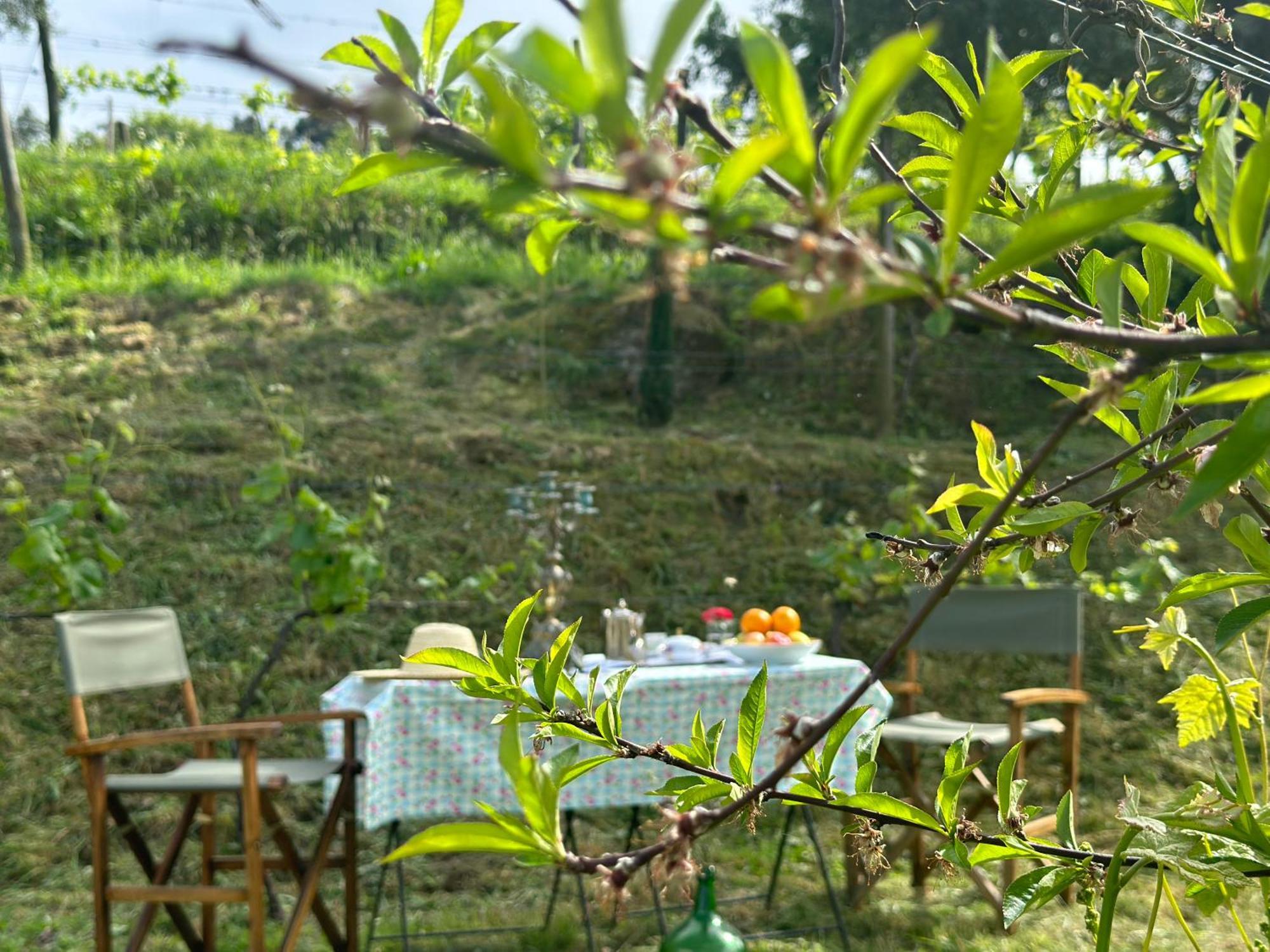 Carmo'S Boutique Hotel - Small Luxury Hotels Of The World Ponte de Lima Buitenkant foto